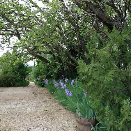 Holiday home Petite Maison Le Jardin